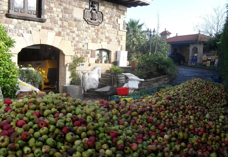 Elaboración de la sidra