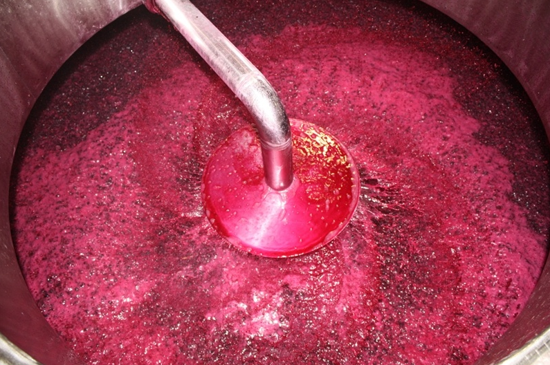 Elaboración del vino